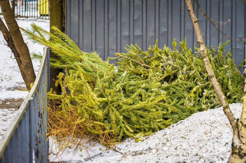 Post-Removal Cleanup