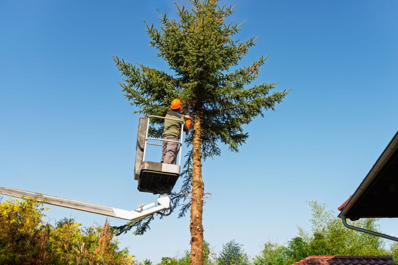Commercial Tree Service detail
