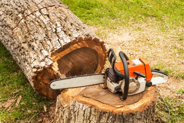 Tree Cutting Service in Huntersville