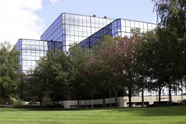 Commercial Tree Trimming in Huntersville